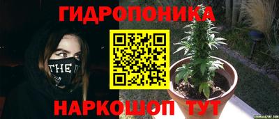 прущие крисы Краснознаменск