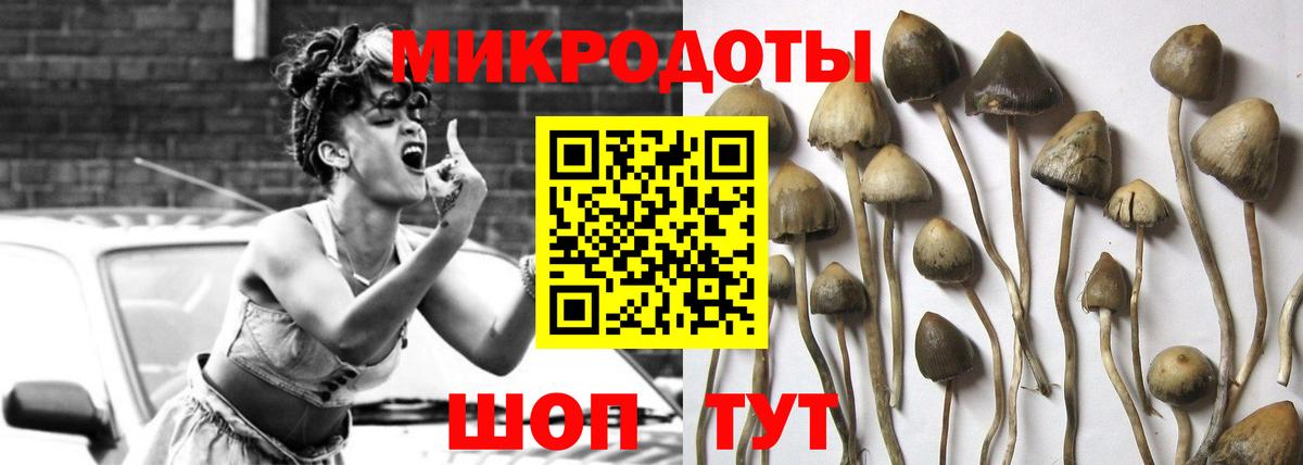 Галлюциногенные грибы GOLDEN TEACHER Кирово-Чепецк